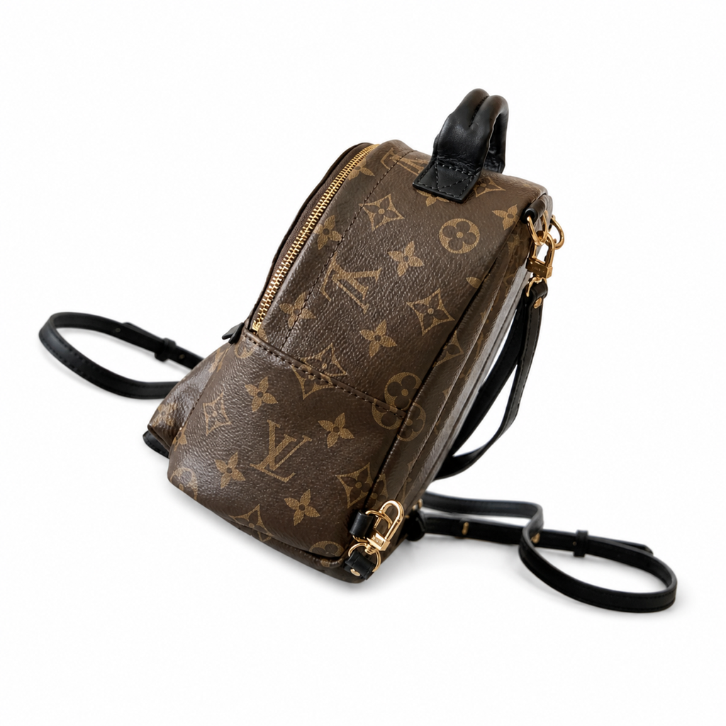 Louis Vuitton Palm Springs Mini Backpack – Monogram