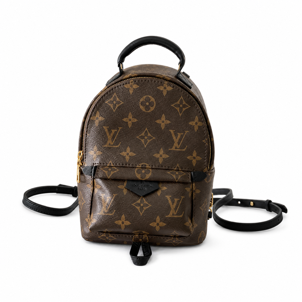 Louis Vuitton Palm Springs Mini Backpack – Monogram