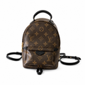 Louis Vuitton Palm Springs Mini backpack in Monogram coated canvas with black leather straps and gold-tone hardware
